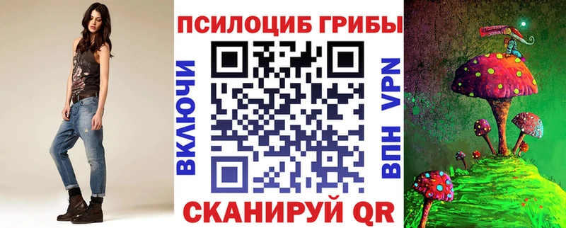 Псилоцибиновые грибы ЛСД  купить   Алатырь 